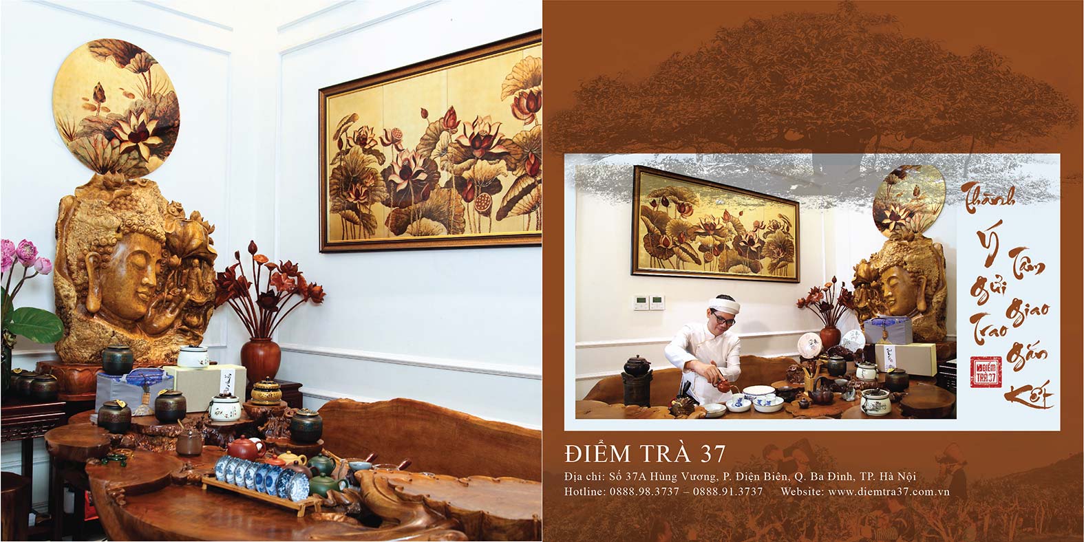 catalogue tra shan tuyet 01