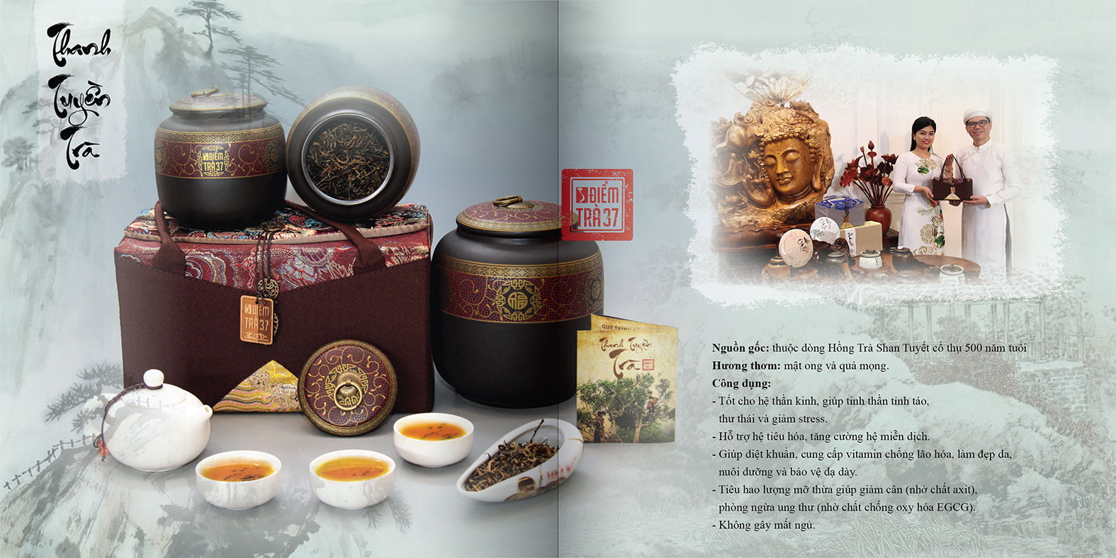 catalogue tra shan tuyet 04