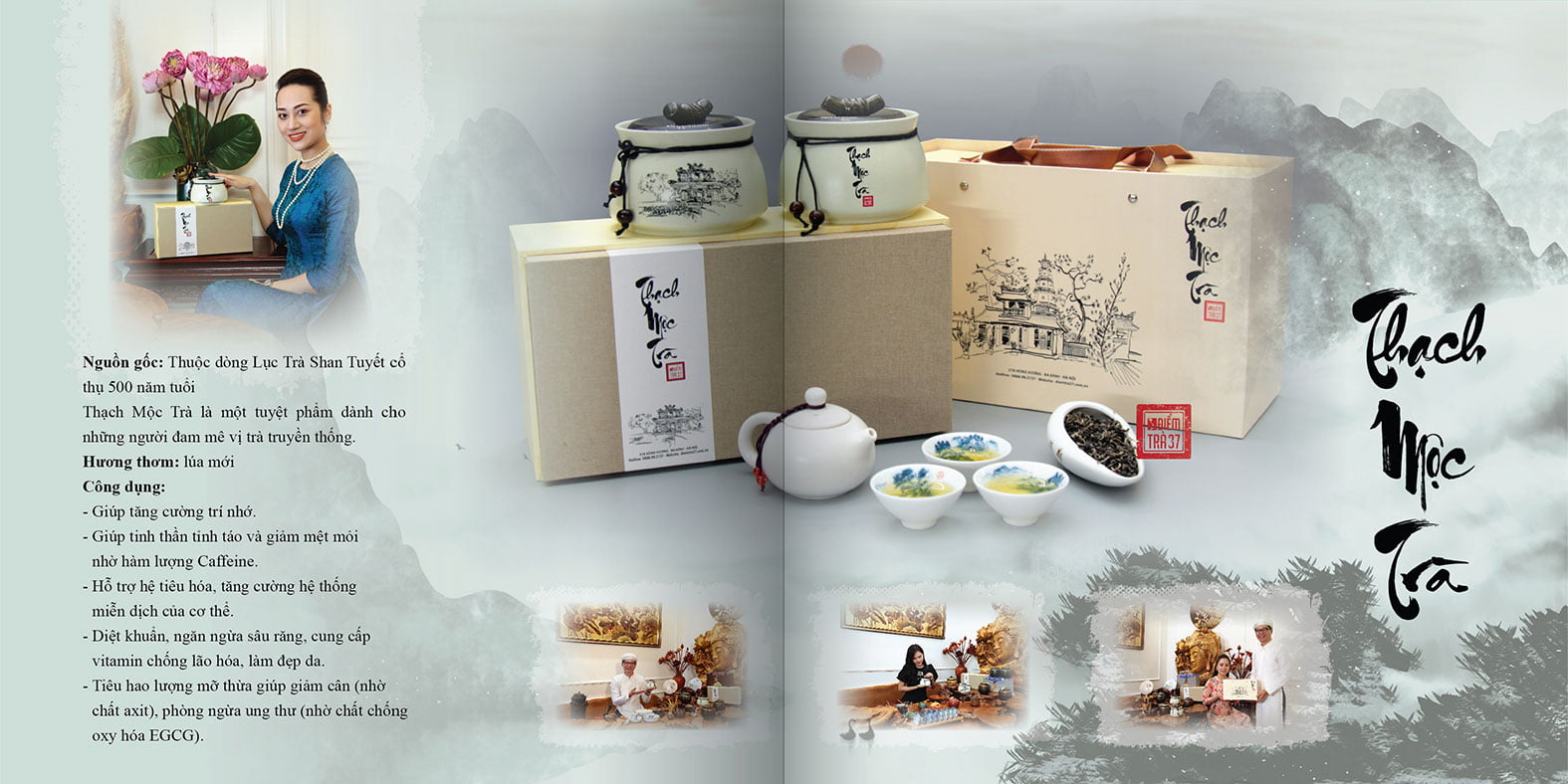catalogue tra shan tuyet 05