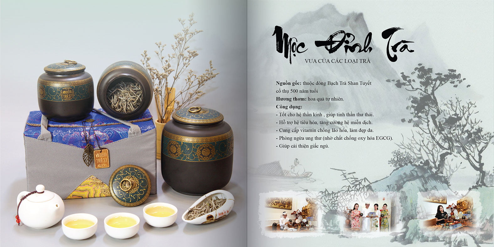 catalogue tra shan tuyet 06