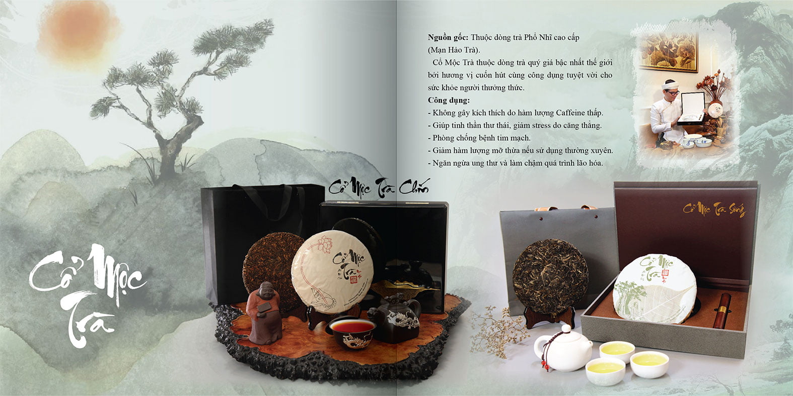 catalogue tra shan tuyet 07