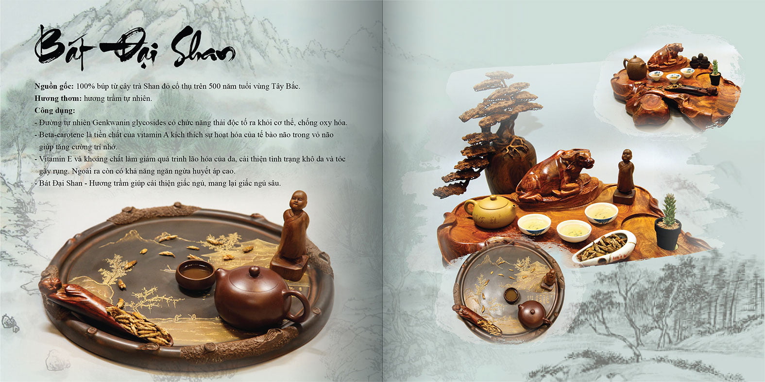 catalogue tra shan tuyet 08