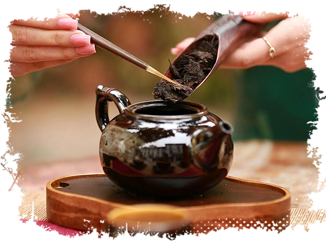 Cách pha trà Mạn Hảo – trà bánh Phổ Nhĩ