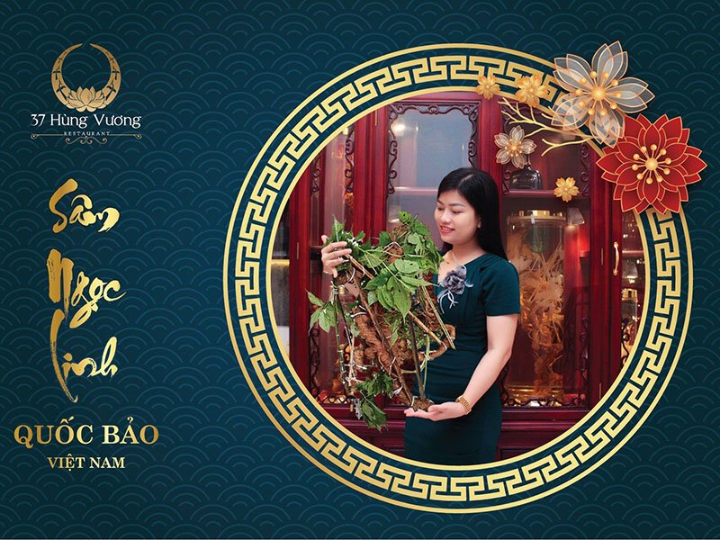 Sâm Ngọc Linh – Quốc bảo của Việt Nam với những giá trị quý báu