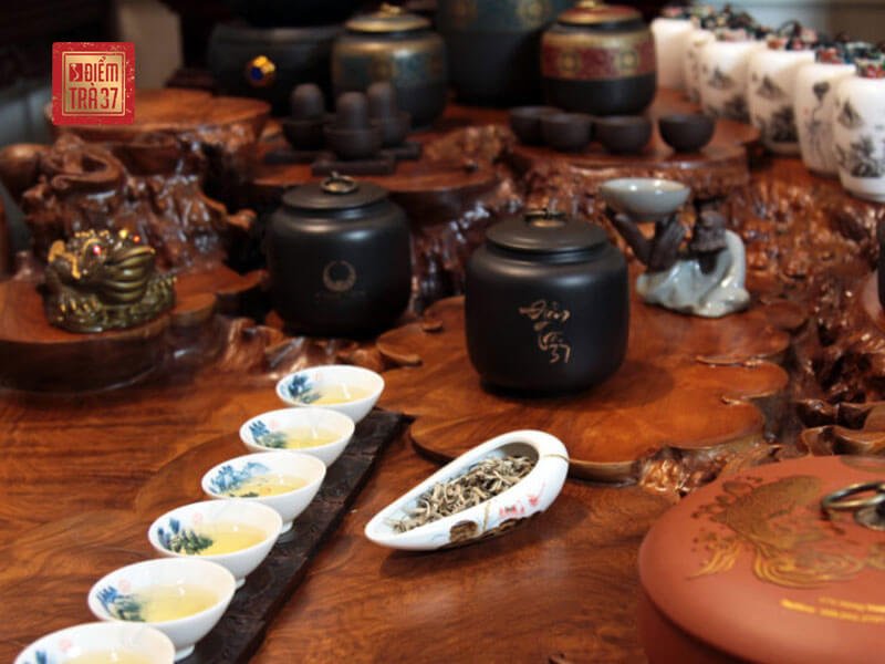 Trà Shan Tuyết thuộc dòng trà cổ thụ trứ danh vùng Tây Bắc – Việt Nam