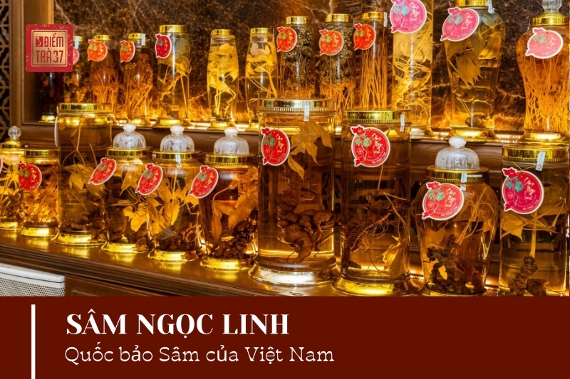 Bí quyết chọn quà tặng tinh tế mùa lễ hội