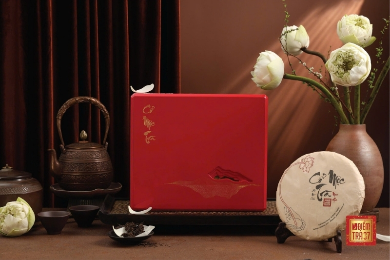 Shan Tuyết: Tinh hoa trà núi rừng Tây Bắc tại điểm trà 37