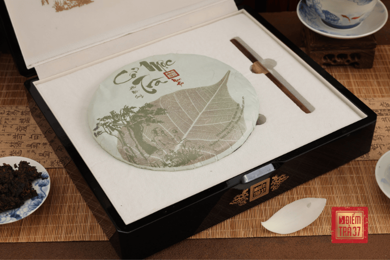 Bật mí công dụng của trà shan tuyết cổ thụ: Tinh hoa núi rừng và những lợi ích tuyệt vời cho sức khỏe Bật mí công dụng của trà shan tuyết cổ thụ: Tinh hoa núi rừng và những lợi ích tuyệt vời cho sức khỏe